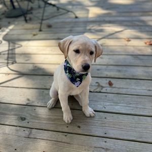 Meet your Posher, Karsyn